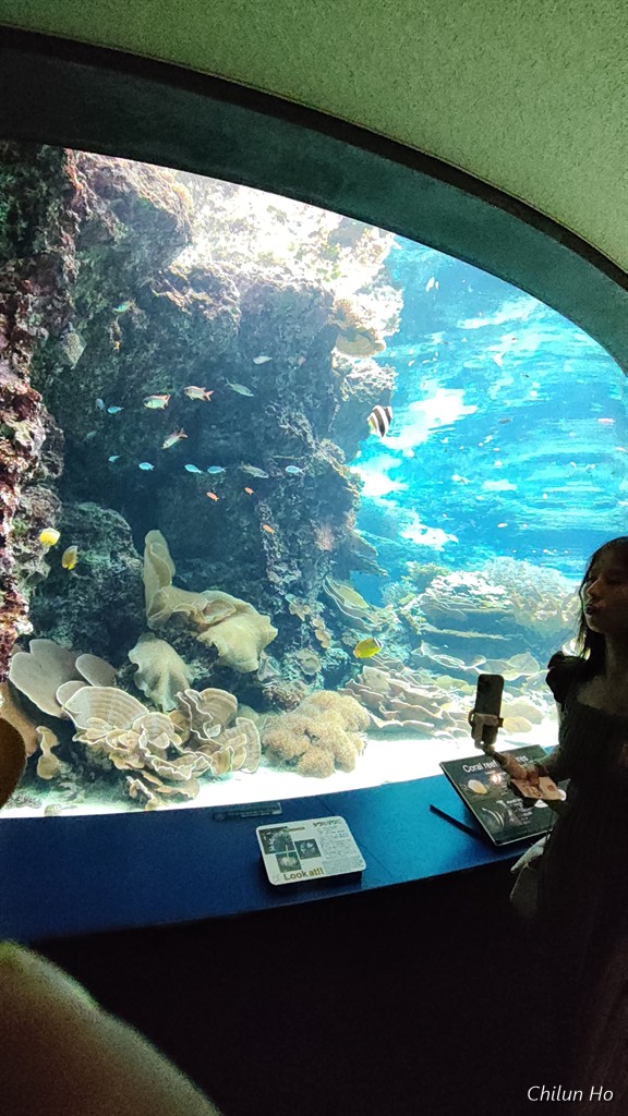 沖縄美ら海水族館